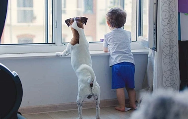 Как научить ребёнка общаться с домашними животными