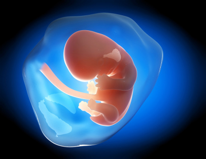 9 недель беременности живот фото форум